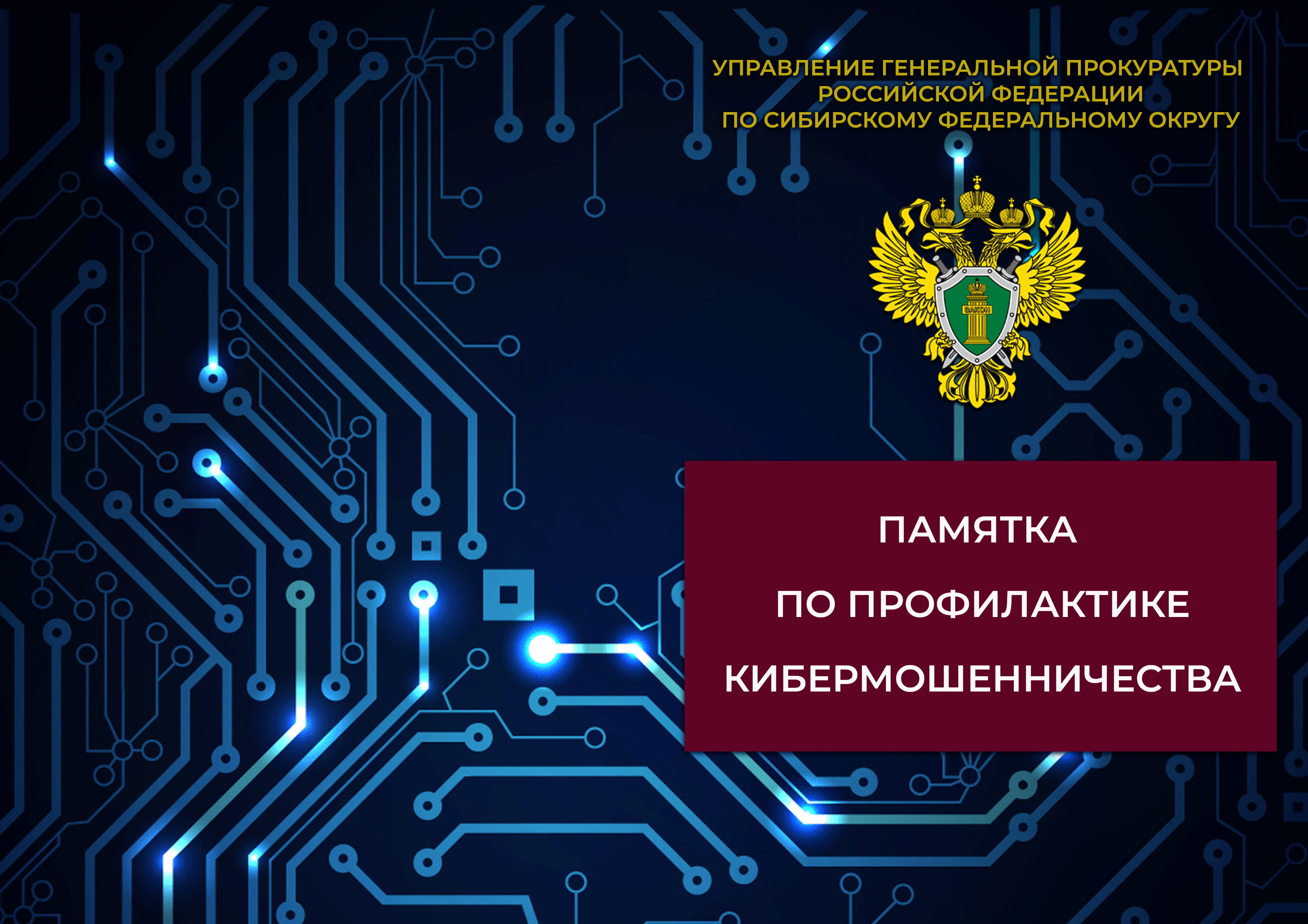 противодействие IT преступности.